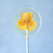Viola Pansy Flower Lollipops| 8 PCS| 2 Sizes