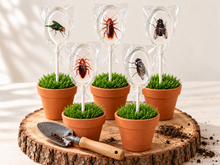 Oval Bug Lollipops for Halloween 6 Pieces