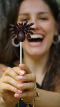 Spider Halloween large Lollipops 4 PCS