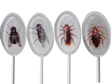 Oval Bug Lollipops for Halloween 6 Pieces