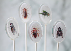 Oval Bug Lollipops for Halloween 6 Pieces