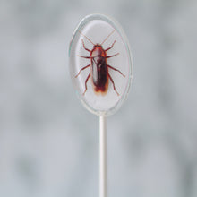 Oval Bug Lollipops for Halloween 6 Pieces