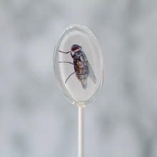Oval Bug Lollipops for Halloween 6 Pieces