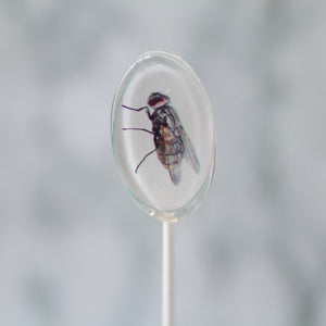 Oval Bug Lollipops for Halloween 6 Pieces