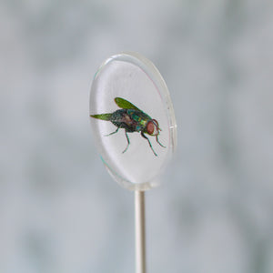 Oval Bug Lollipops for Halloween 6 Pieces