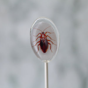 Oval Bug Lollipops for Halloween 6 Pieces