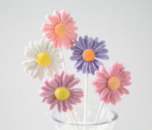 Flower Lollipop Bouquet -12 Lollipops