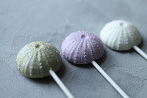 Sea Urchin Lollipops 8 PCS