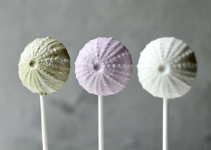 sea urchin lollipops modeled from a realistic sea urchin . Great for sea/ocean themed parties